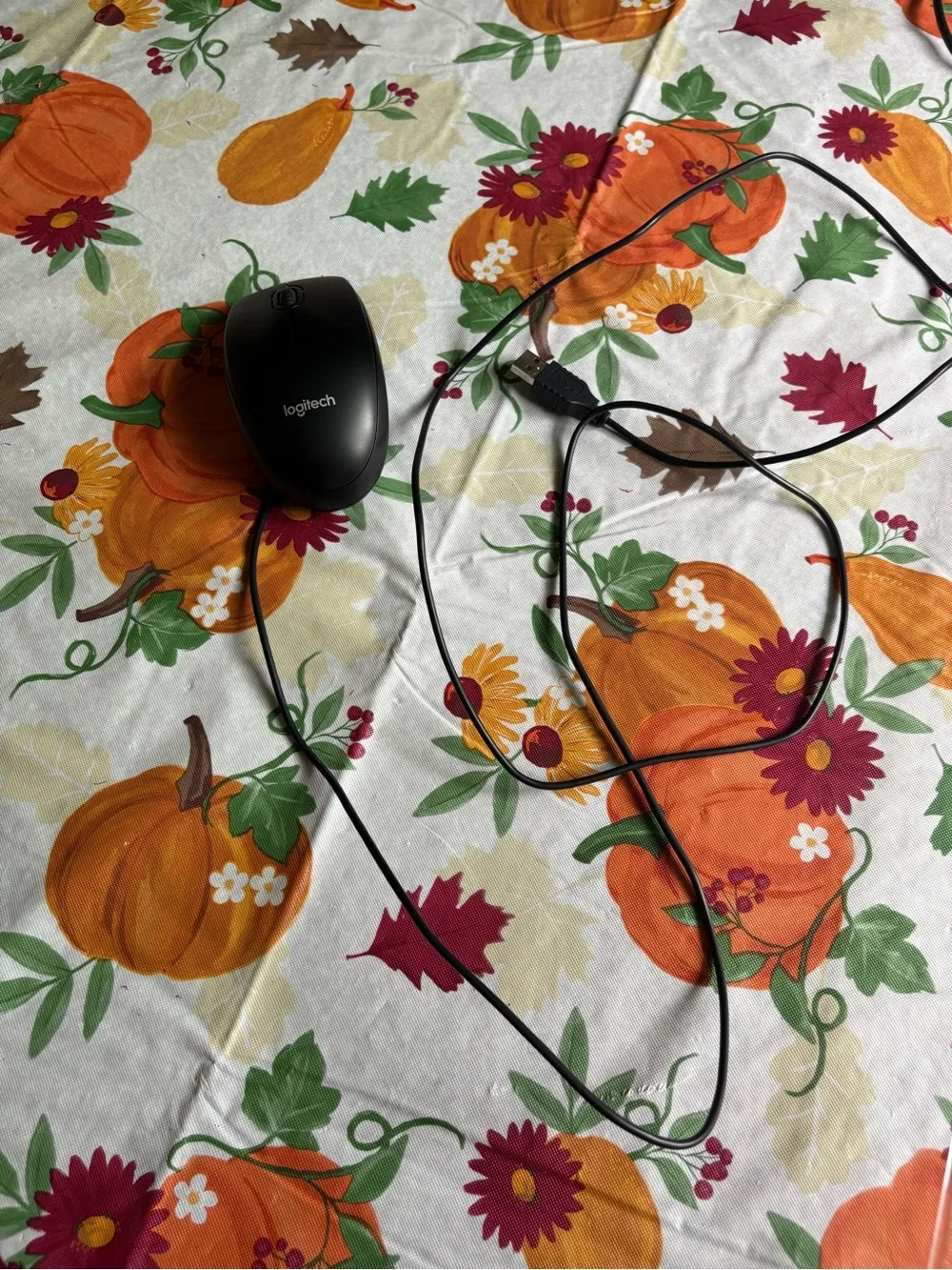 Logitech wired usb